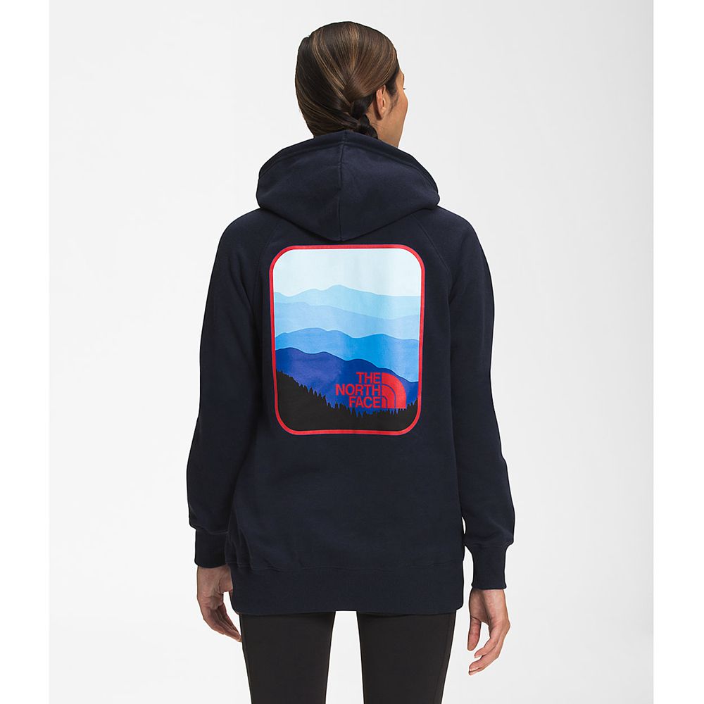 The North Face Hoodie Womens Australia - The North Face Parks Pullover Navy (FHZ-620417)